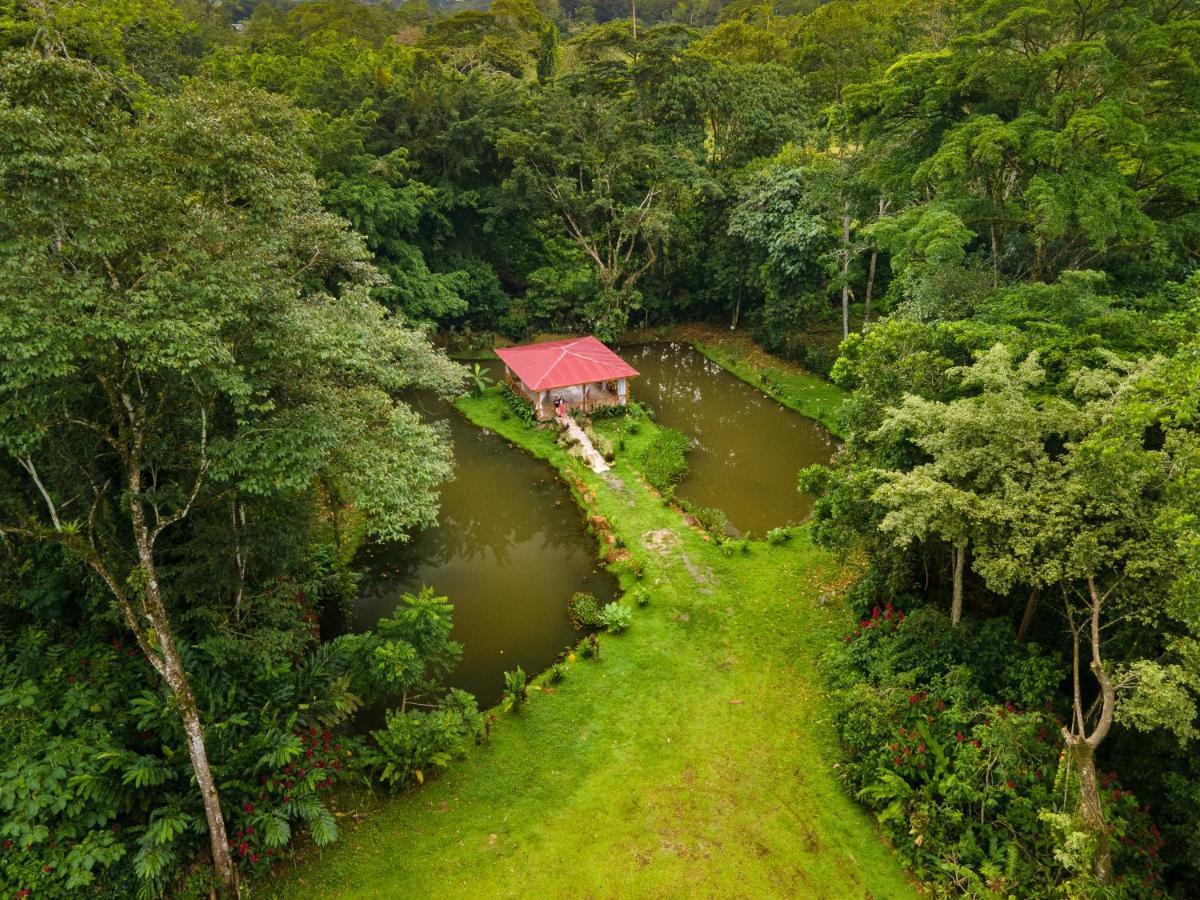 Ara Ambigua Lodge Sarapiquí Kültér fotó
