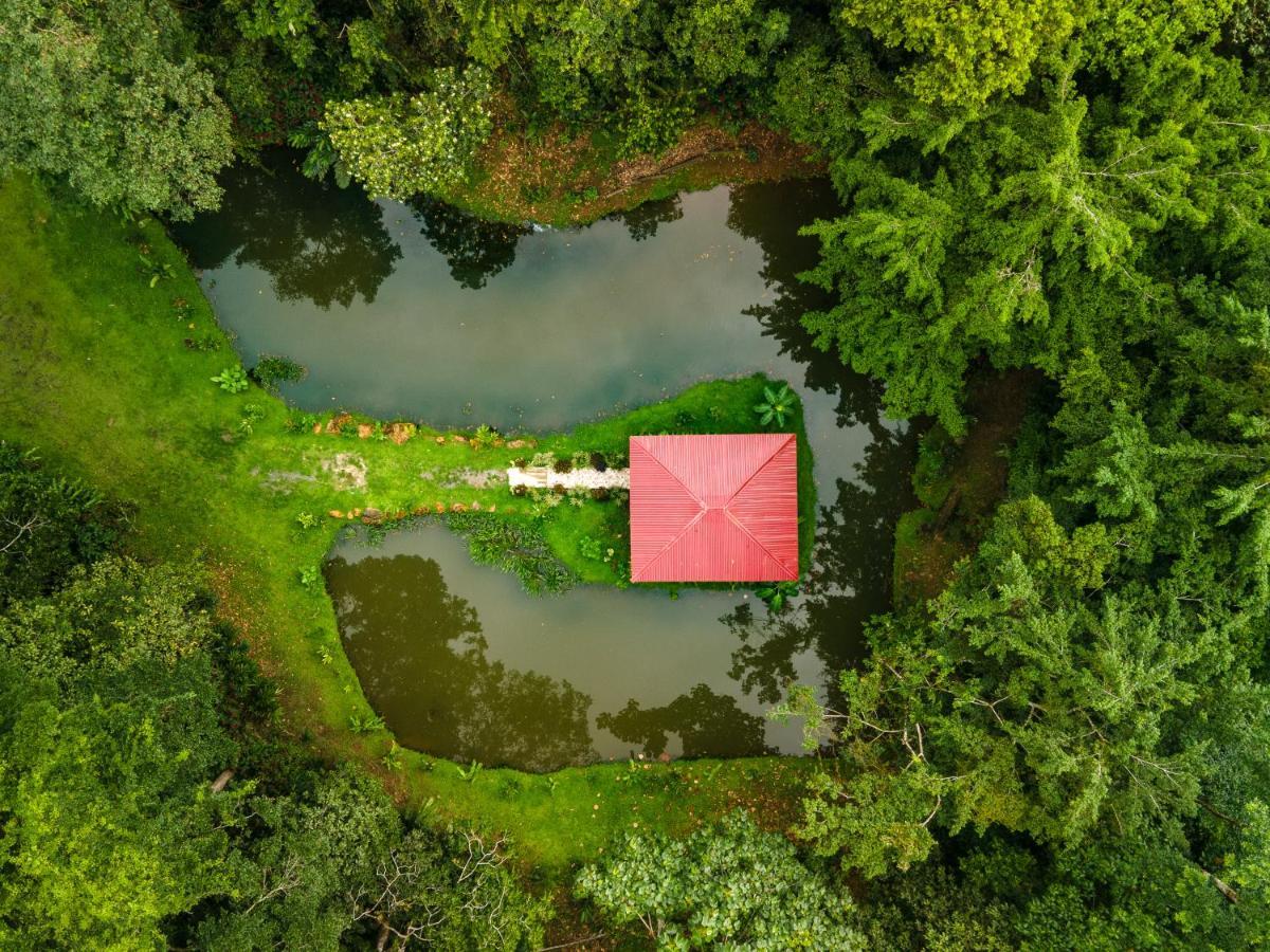 Ara Ambigua Lodge Sarapiquí Kültér fotó