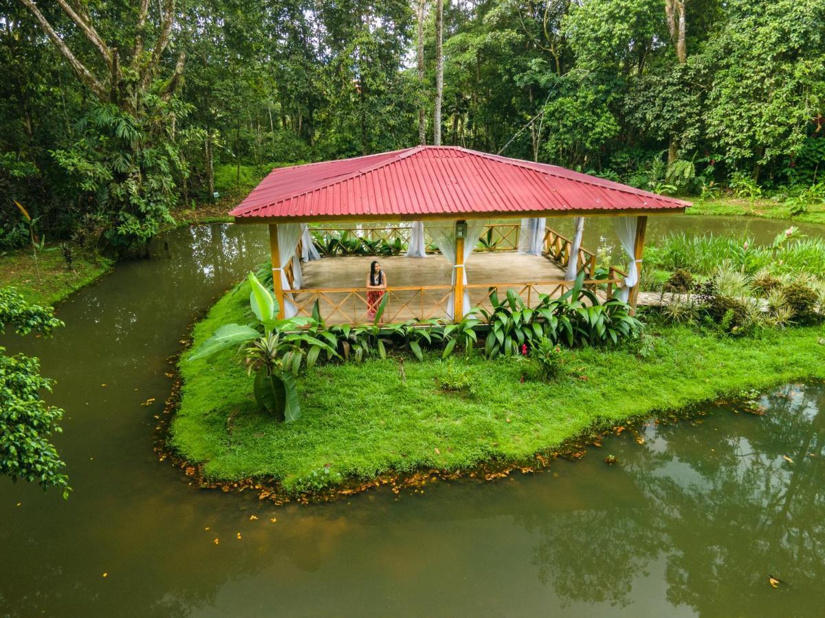 Ara Ambigua Lodge Sarapiquí Kültér fotó