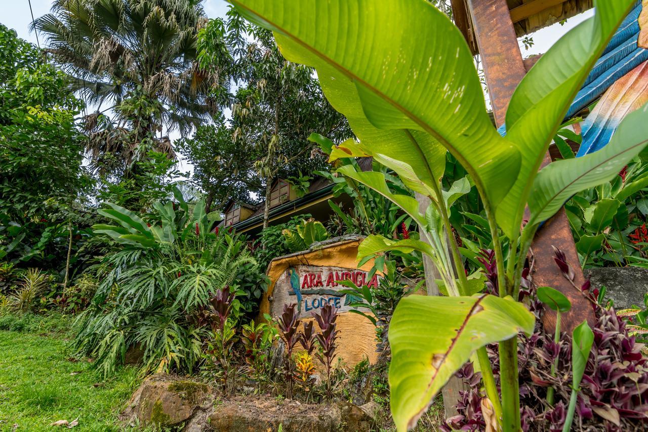 Ara Ambigua Lodge Sarapiquí Kültér fotó