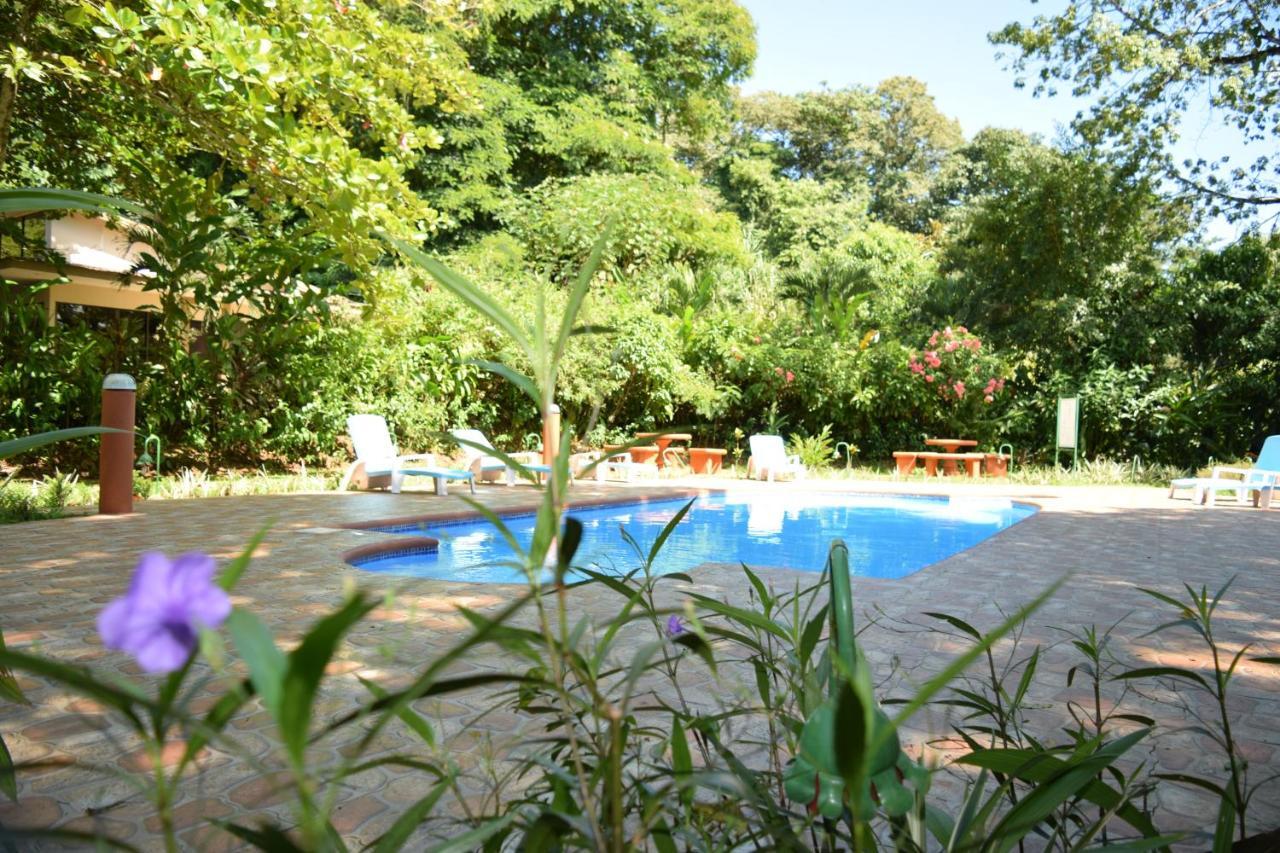 Ara Ambigua Lodge Sarapiquí Kültér fotó